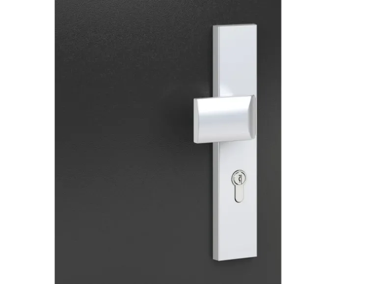 Basi - ES0 - Vollmaterial-Schutzbeschlag Alu F1 Wechsel-Garnitur Lochung PZ - 12 mm Schildstärke 92-10 mm - 7900-0201