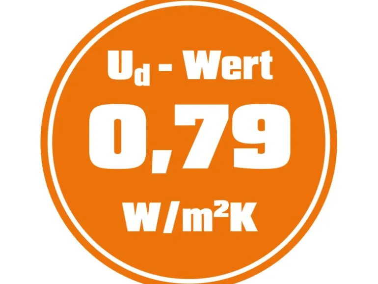 Haustür Thermospace Paris Prime 100 cm x 210 cm Anthrazit Anschlag R
