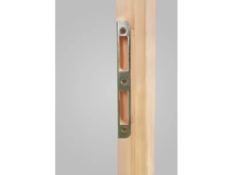Holz-Nebeneingangstür NET 501-88 Fichte Natur 88 cm x 200 cm Anschlag Links