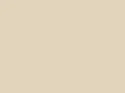 PCI Nanofug Flexfugenmörtel Bahambeige 4 kg