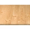 Rauspund Douglasie Nut und Feder 21 mm x 116 mm x 3000 mm
