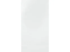 Wandfliese Silva Weiß glänzend 30 cm x 60 cm
